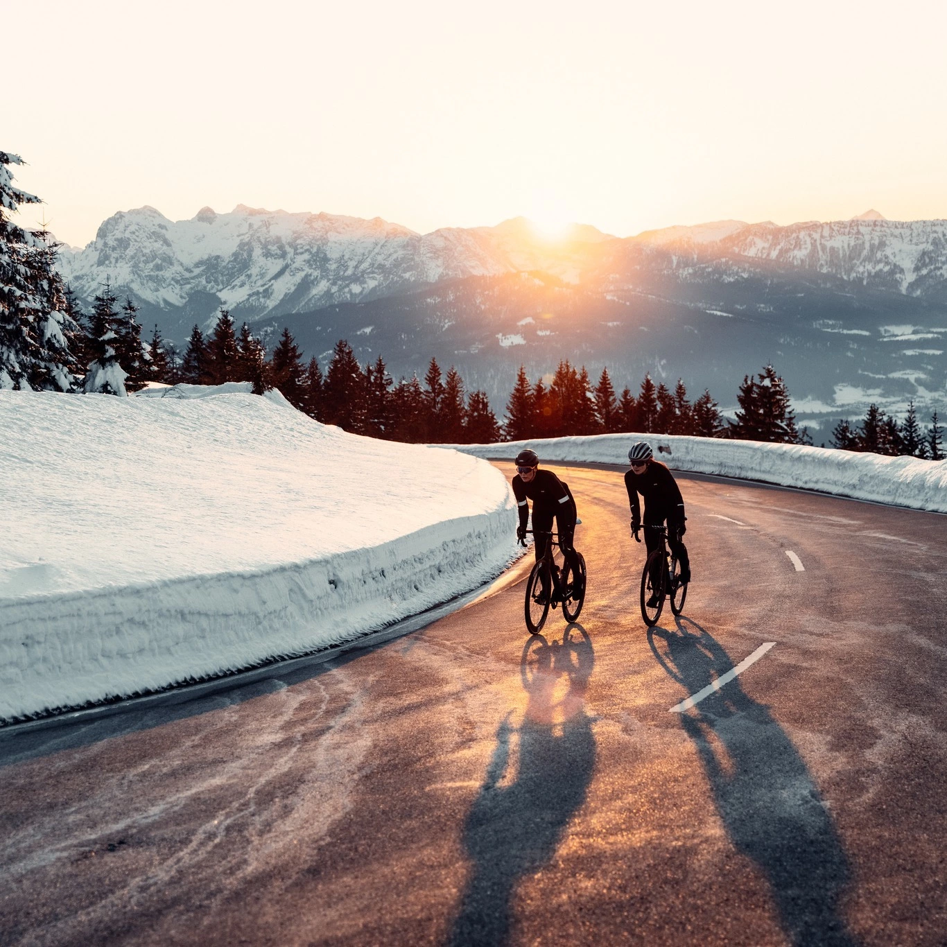 Offerte bici economiche -Offerte bici economiche 274236317 10158307452700095 8458126612025807678 n